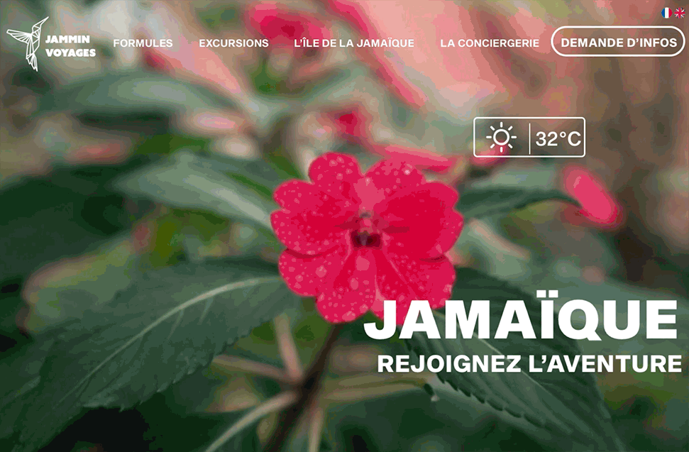 Homepage fictive Jammin Voyages