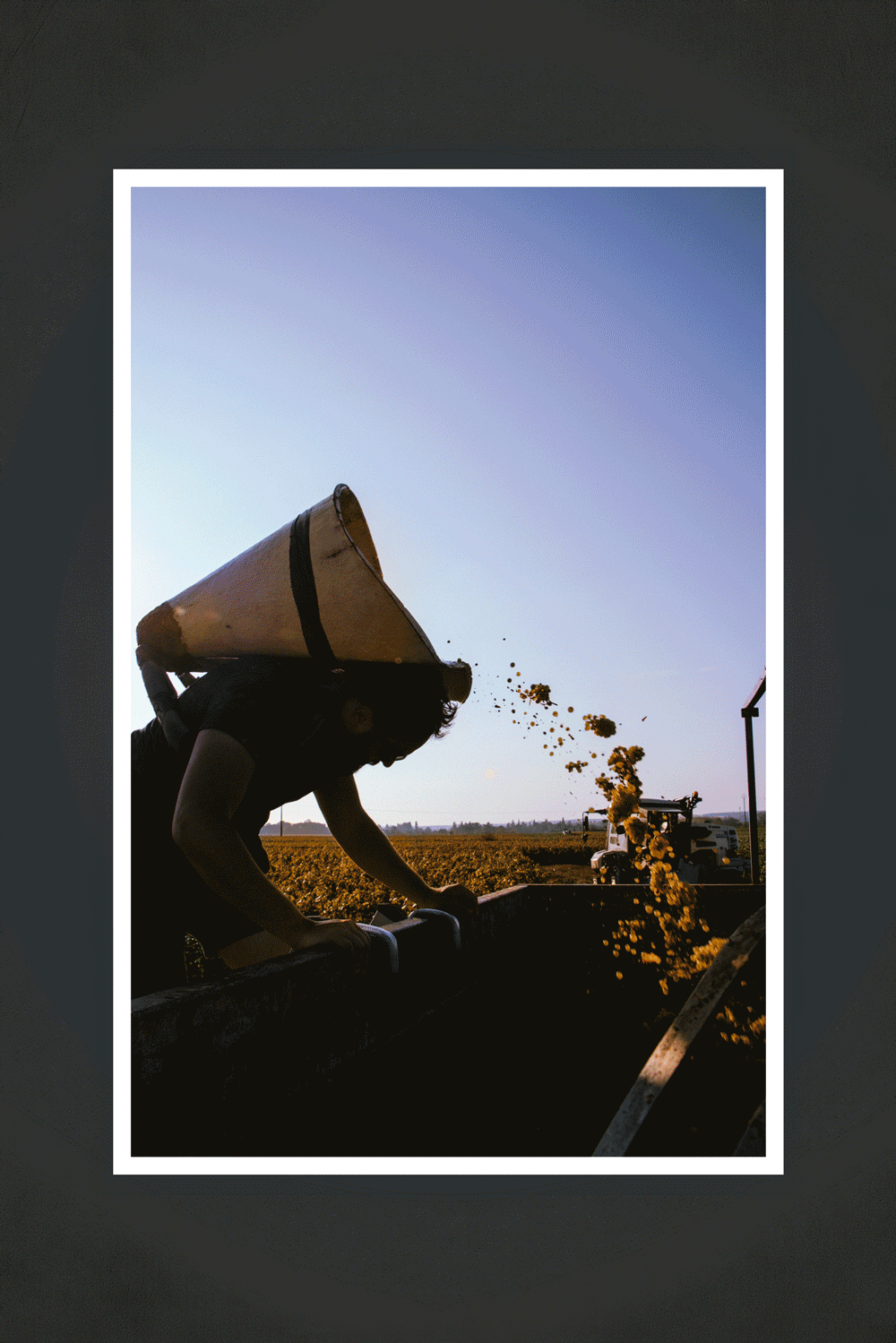 Reportage Chavy-Chouet vendanges 2023